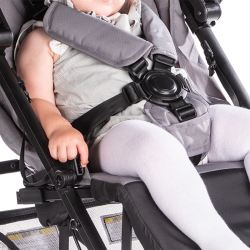 five-point harness stroller